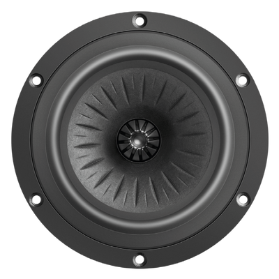 Orchestra 5-512/C8/25 RP